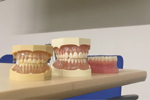 第2回 コンサルテーションプロセス202502
